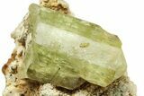 Lustrous, Yellow Apatite Crystals With Feldspar - Morocco #221044-2